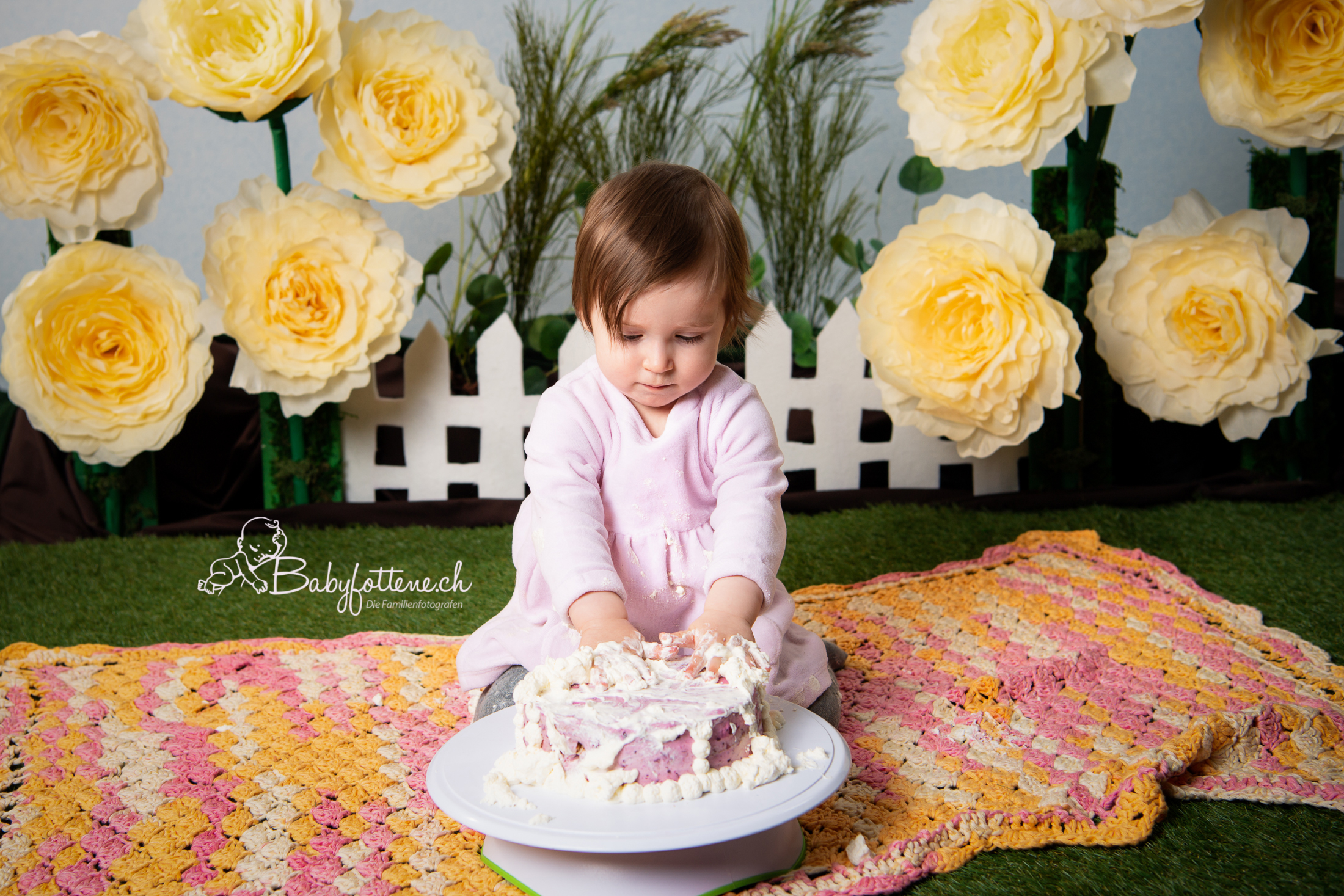 Babyfotografie Zürcher Oberland - Baby macht den Kuchen kaputt und hat Freude am Fotoshooting