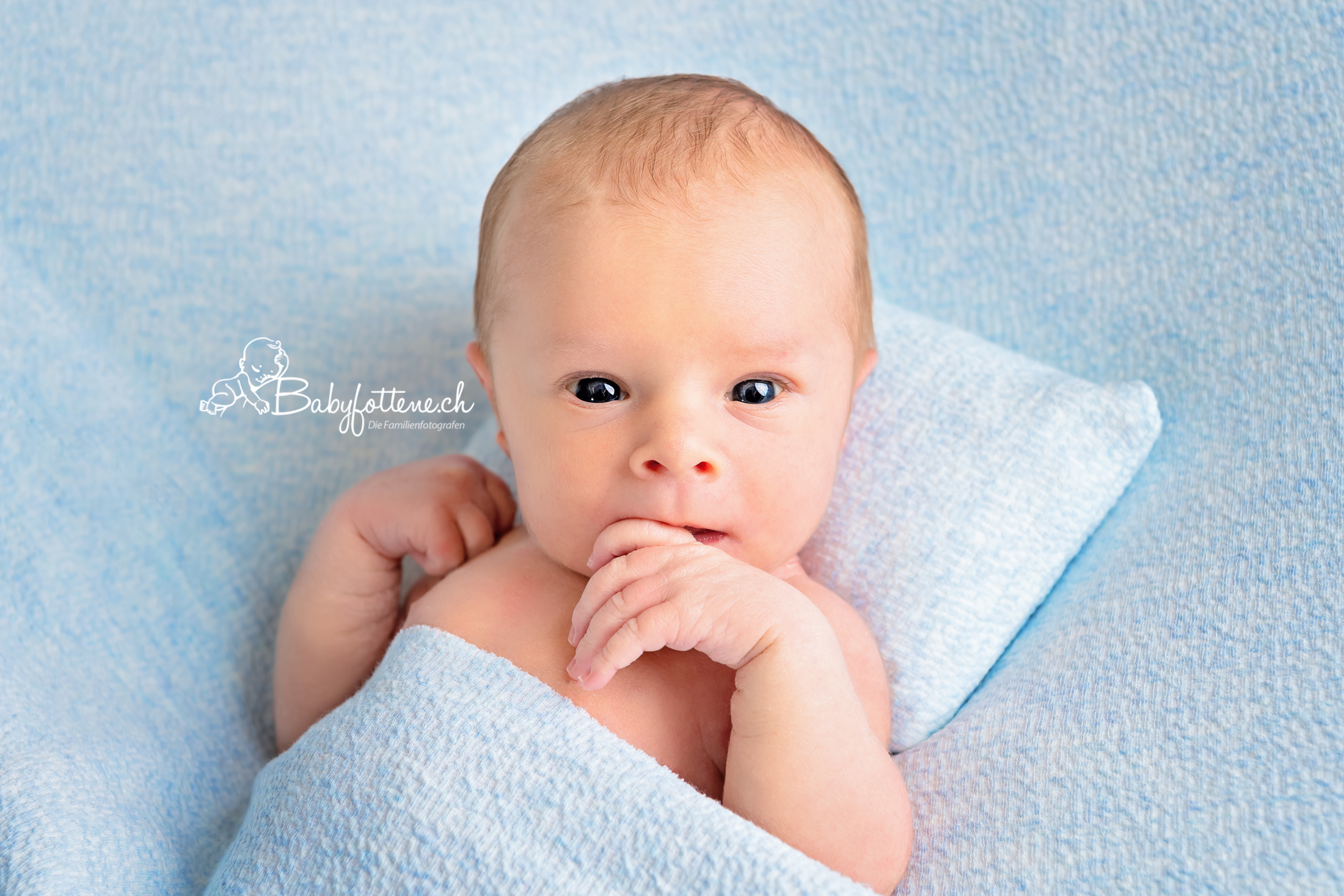Newborn-Bilder Zürcher Oberland - waches Baby beim Fotoshooting